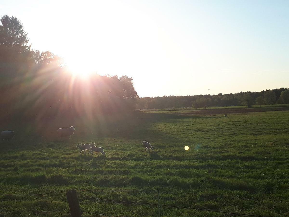 Schoene Komplette Ferienwohnung In Wesel Wesel  Exteriör bild